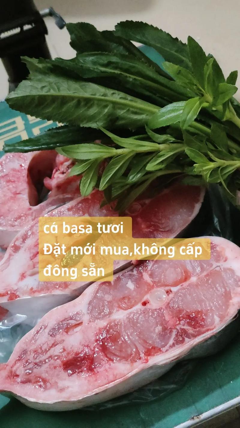 xổ số 10 10